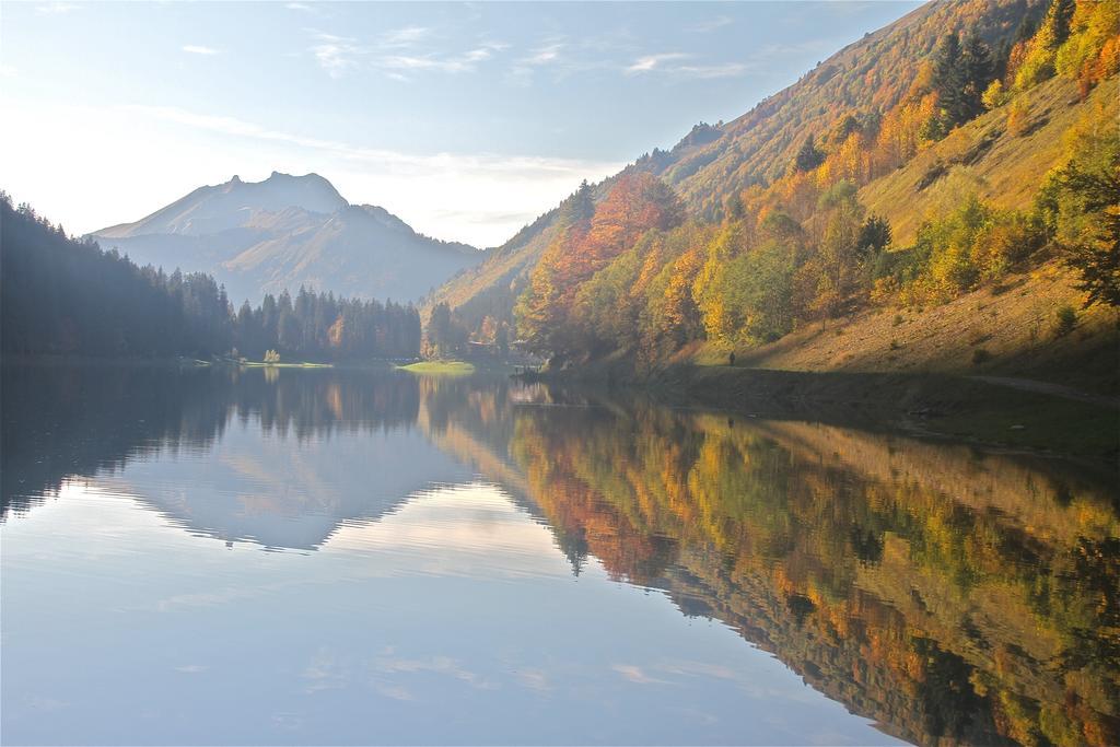 Chalet Genepi Montriond Exterior photo